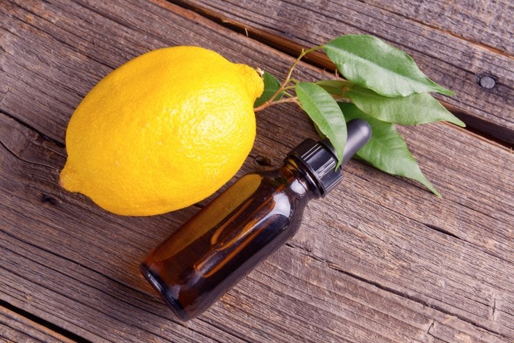 Приготовление лимонного сока – рецепты с божественным ароматом! Лимонный сок:рецепты алкогольных и безалкогольных напитков с ним